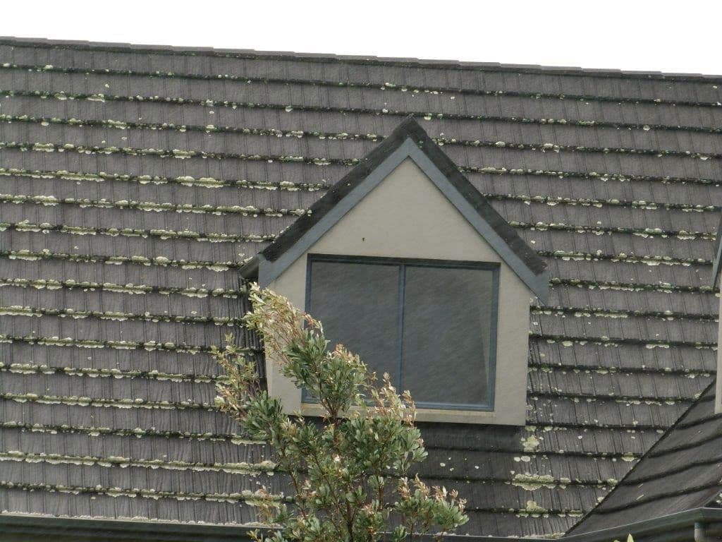 Before Metal Tile Cleaning